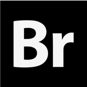 Adobe Bridge下载