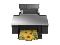 爱普生Epson Stylus Photo R290 驱动