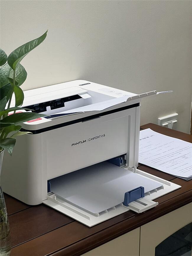 Pantum BP2300
