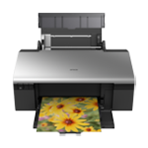 爱普生Epson Stylus Photo R290 驱动