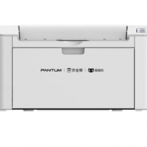 奔图 Pantum P2595NW 驱动